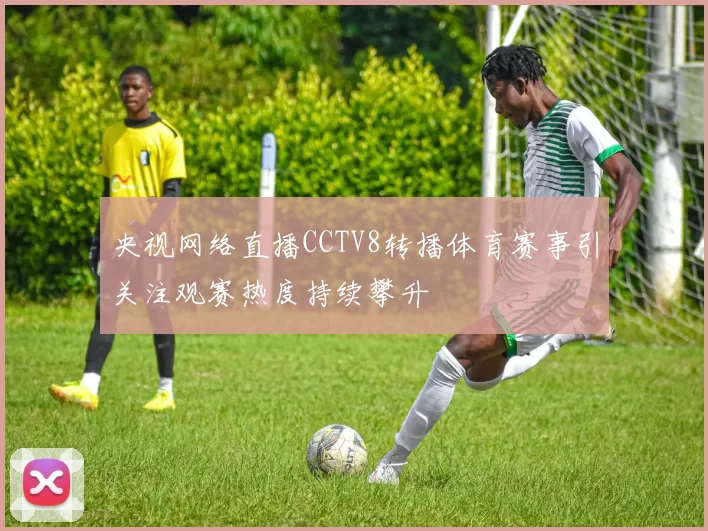 央视网络直播CCTV8转播体育赛事引关注观赛热度持续攀升
