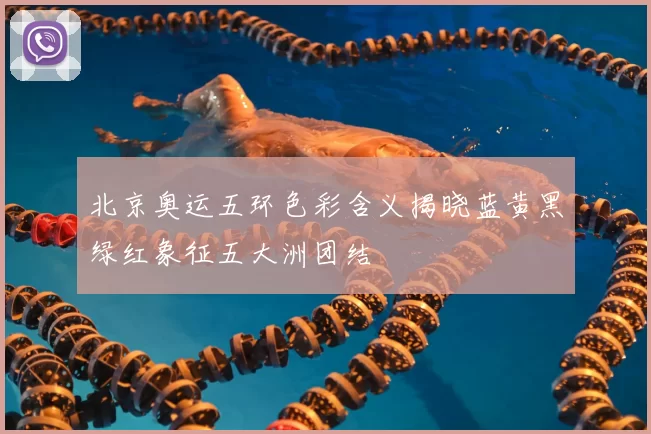 北京奥运五环色彩含义揭晓蓝黄黑绿红象征五大洲团结