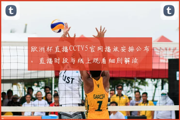 欧洲杯直播CCTV5官网播放安排公布，直播时段与线上观看细则解读