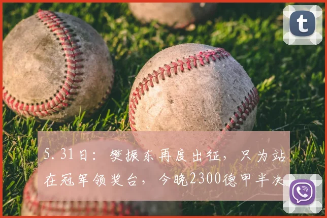 5.31日：樊振东再度出征，只为站在冠军领奖台，今晚2300德甲半决赛上演精彩对决_比赛_萨尔布吕肯_观众