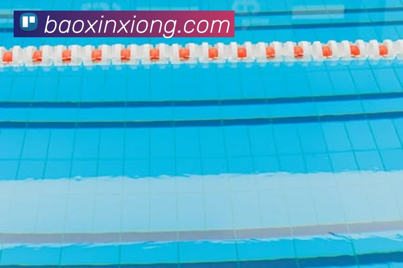 ayx登录入口发展历程